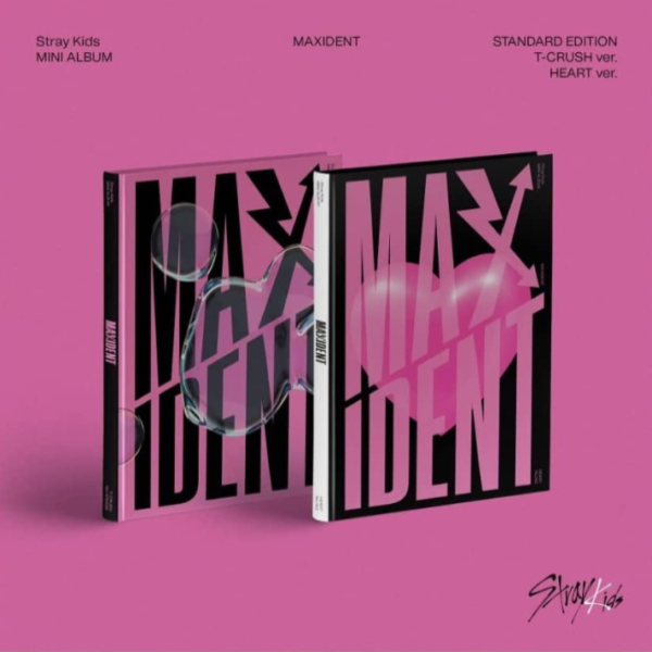 STRAY KIDS - MAXIDENT